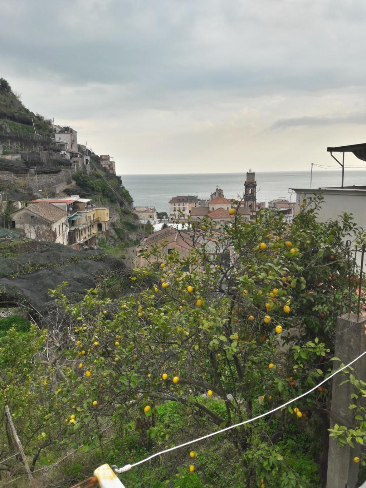 Appartamento Residence Costa D'Amalfi Minori Eksteriør billede